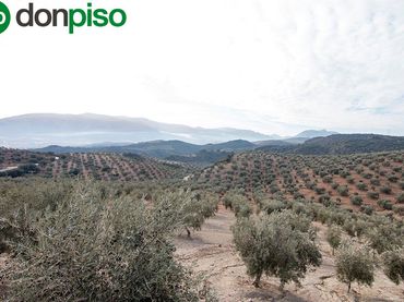 Casa rustica in vendita a CORTIJO LA BARRAGANA