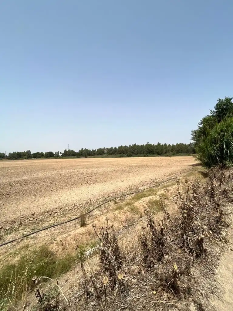 Terrenys i solars en venda a Carretera Cortes 4, imagen 13