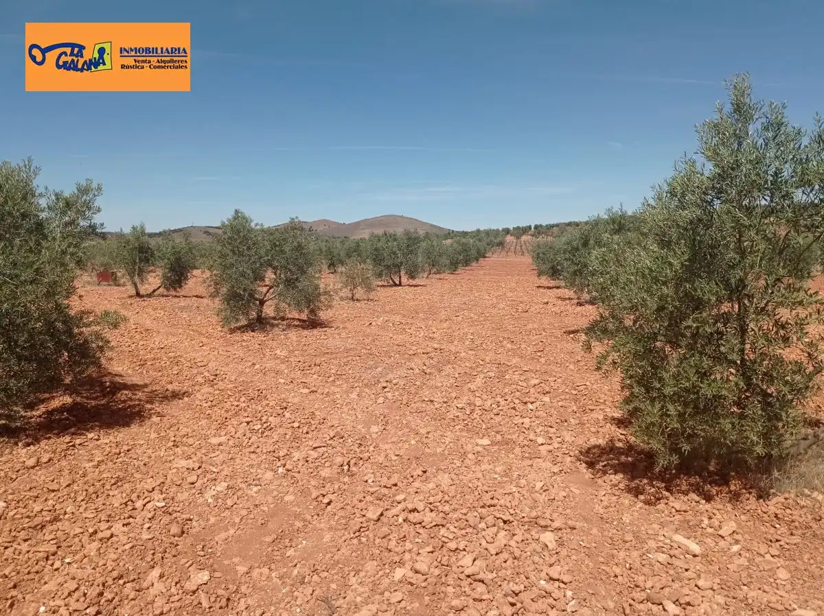 Finca rústica en venda en Torrenueva