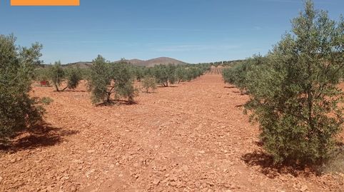Finca Rúst. en venta en Carretera Santa Cruz., imatge 4