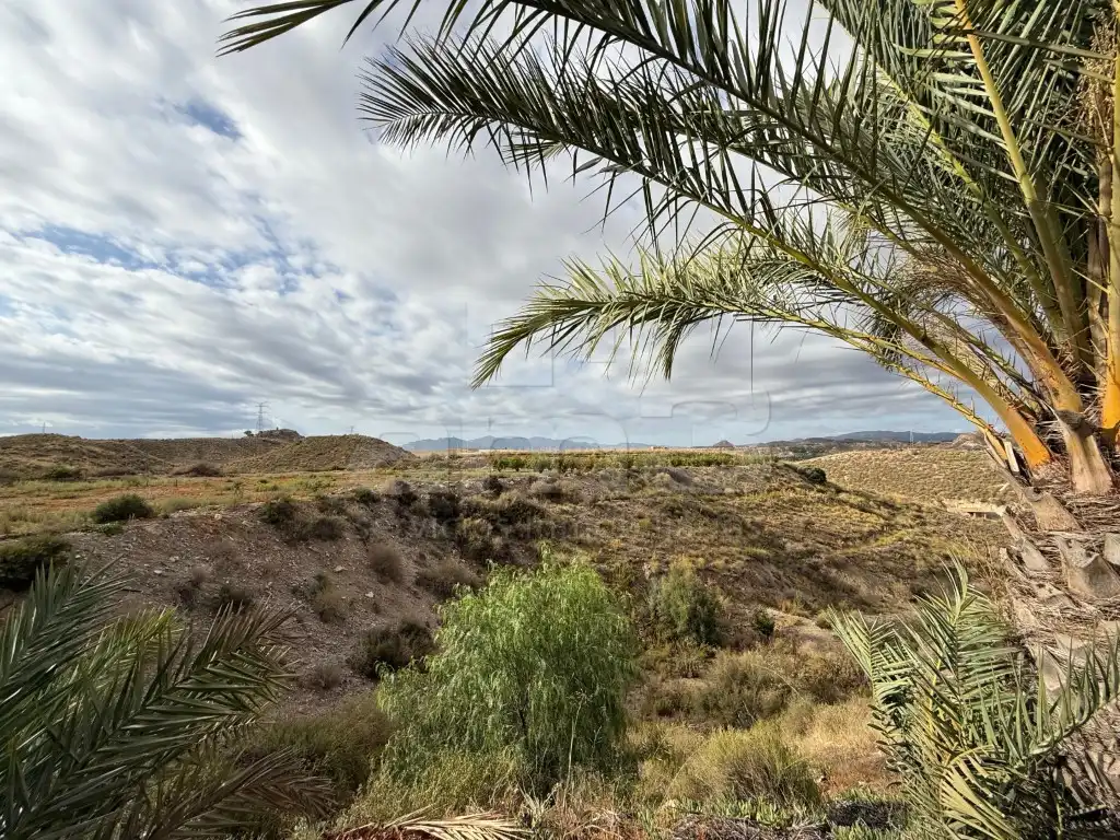 Casa o xalet en venda a Las Cunas - La Algarrobina
