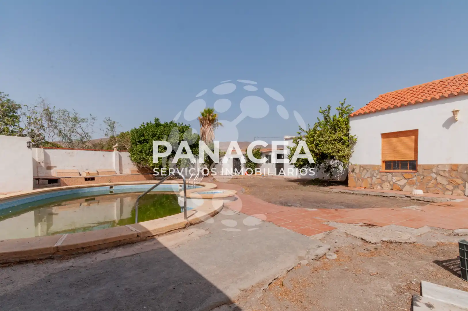 Vista exterior de Casa o xalet en venda en Pechina amb Jardí privat, Piscina i Moblat