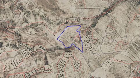 Foto 5 de Terreny en venda a Paraje la Alquibla Nº Sn, Ojós, Murcia