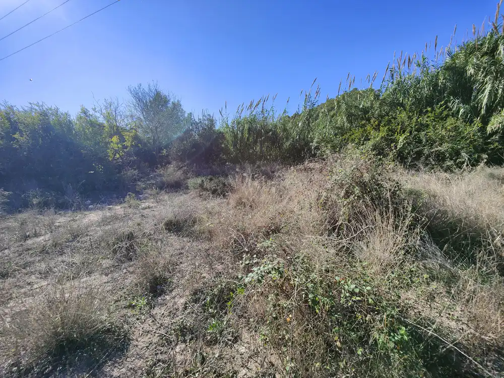 Rural land for sale in PARAJE MOSMAY Y PI DE CALSES, POL.12 , PARCELAS 37, imagen 14