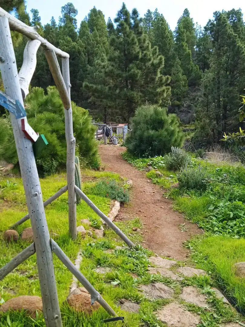 Jardín de Finca rústica en venta en Tijarafe con Jardín privado