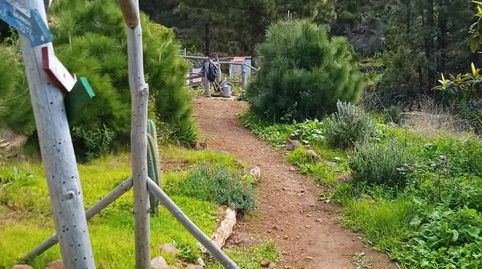 Foto 2 de Finca rústica en venda a La Pasada, 16, Tijarafe, Santa Cruz de Tenerife