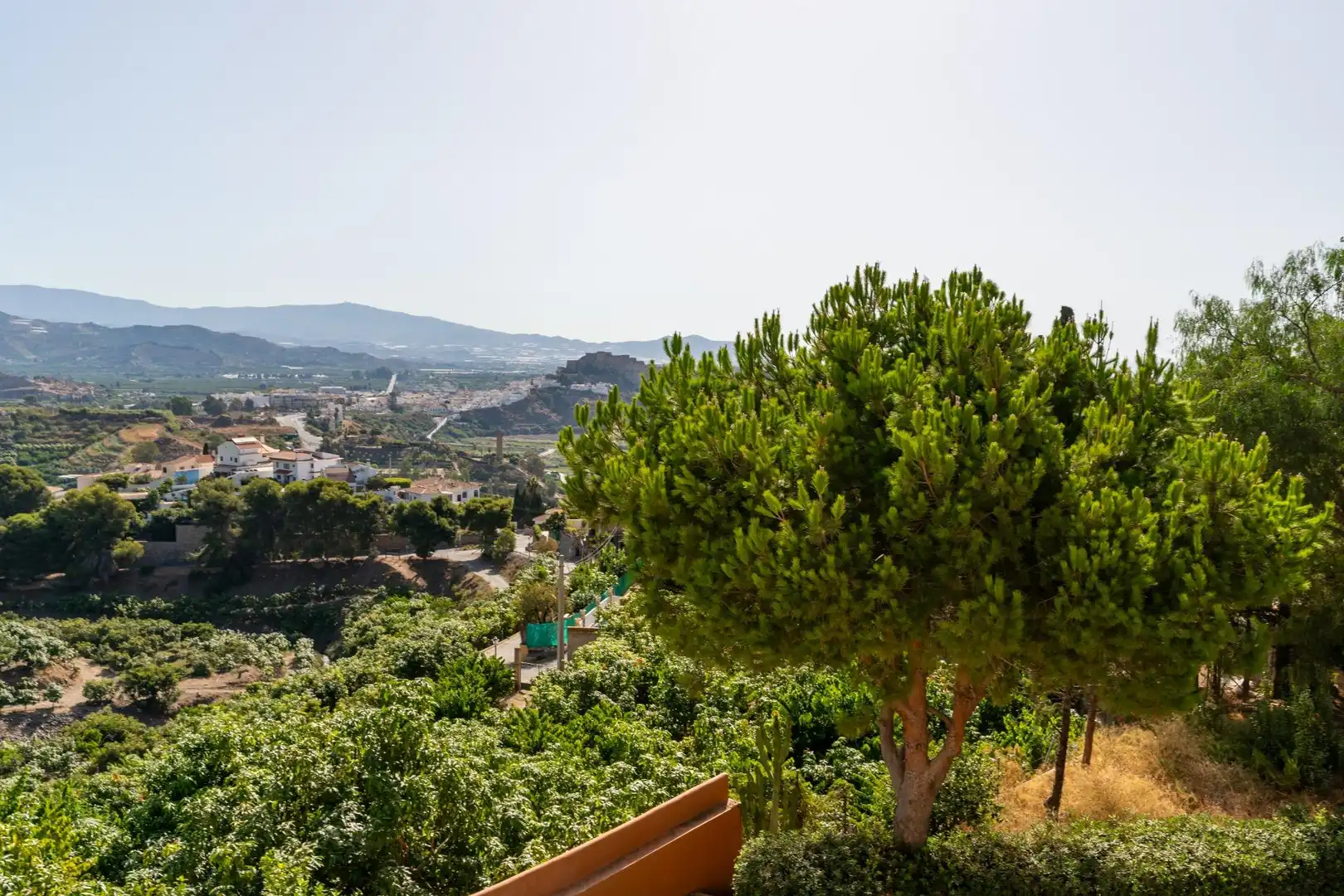Detached house with terrace for sale in Calle Calle Naranjo, Monte de los Almendros, imagen 68