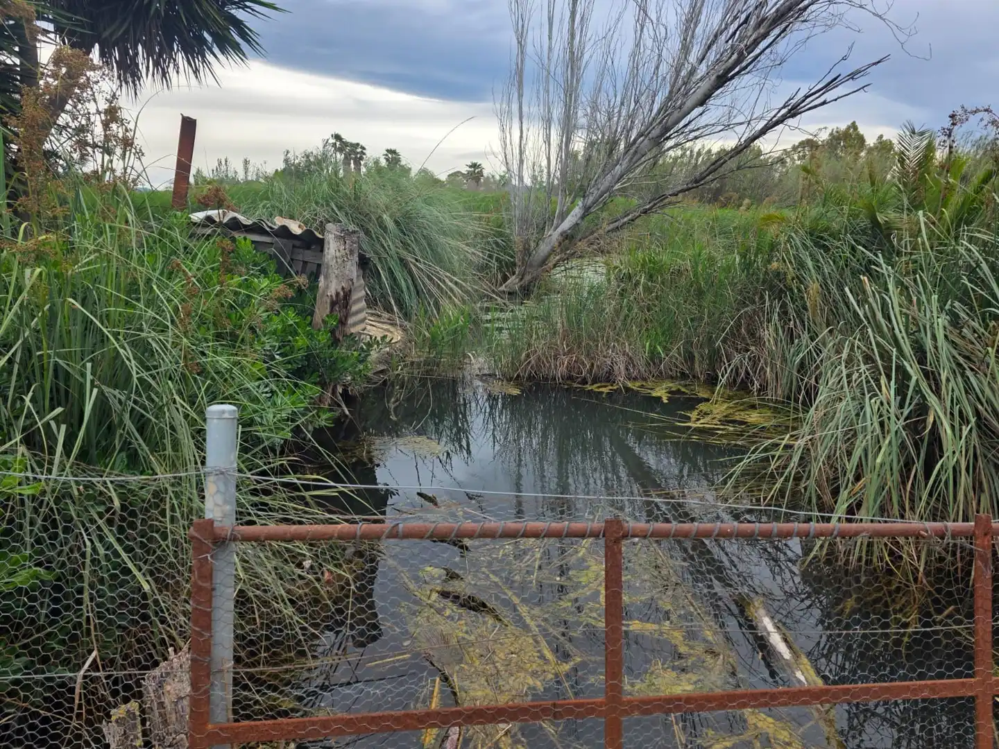 Terreno en venta en Amposta