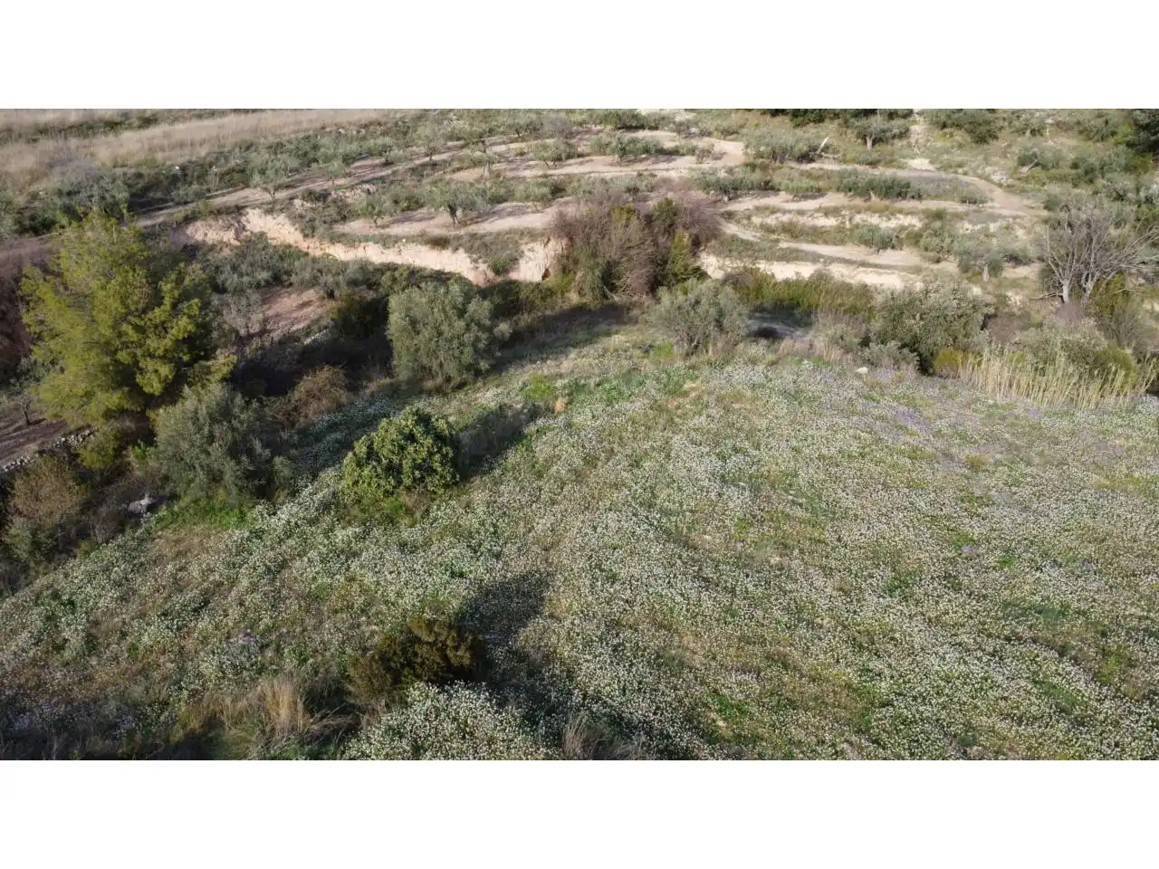 Residencial en venda en Caravaca de la Cruz