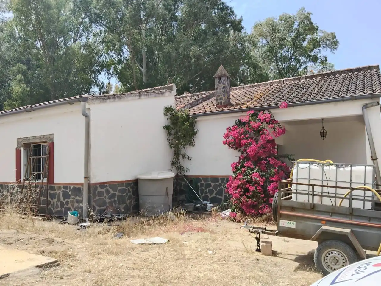 Vista exterior de Casa o chalet en venta en Carmona con Jardín privado y Terraza
