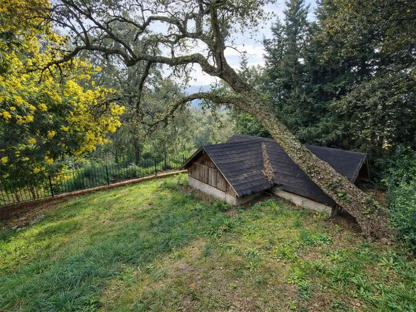 Vista exterior de Pis en venda en Santa Cristina d'Aro amb Balcó