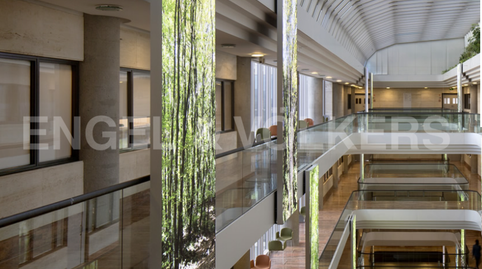 Foto 4 de Oficina de lloguer a Temple, Tarragona