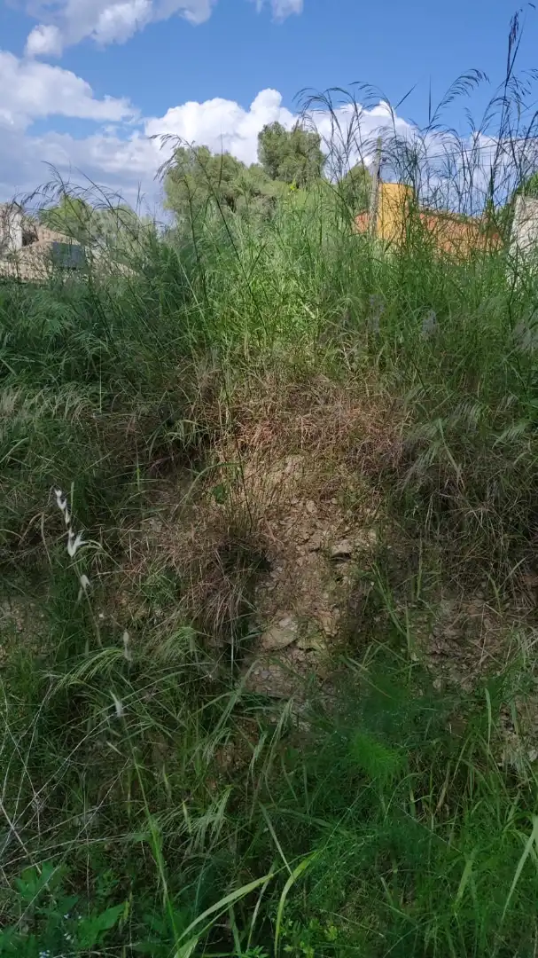 Wohnbaugrundstück zum Verkauf in Carrer Orient, imagen 7