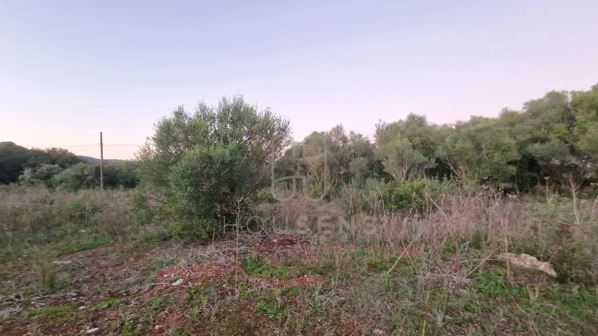 Terreny residencial en venda a Artà Poble, imagen 16