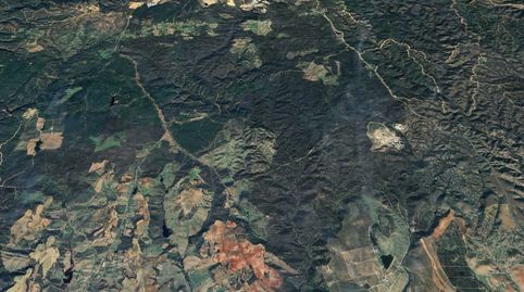 Foto 3 von Grundstücke zum Verkauf in Pje Majalitos, Niebla, Huelva