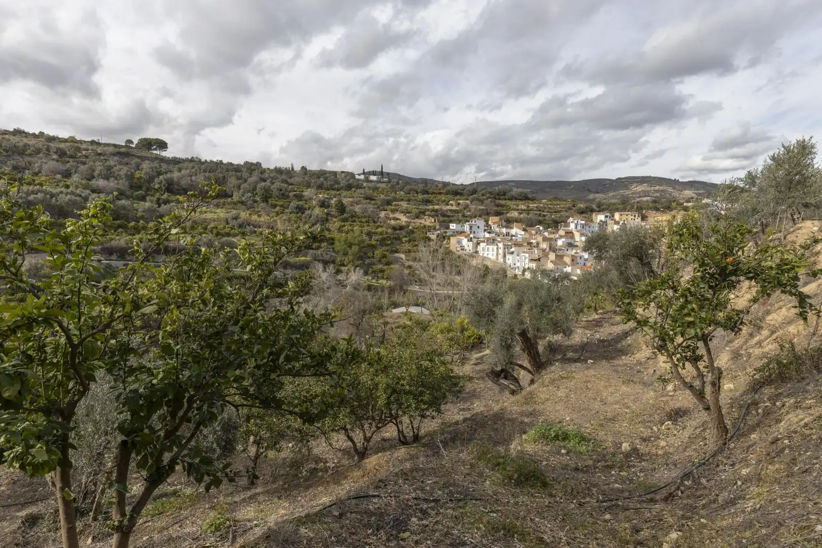 Terreno en venta en El Valle