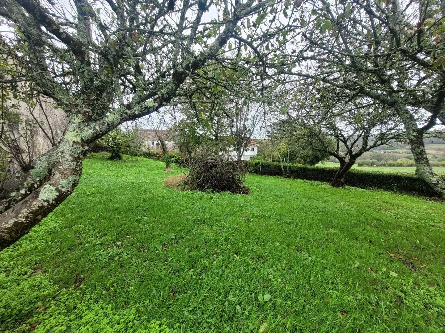 Villa avec jardin à vendre à As Pereiras 8, imagen 29