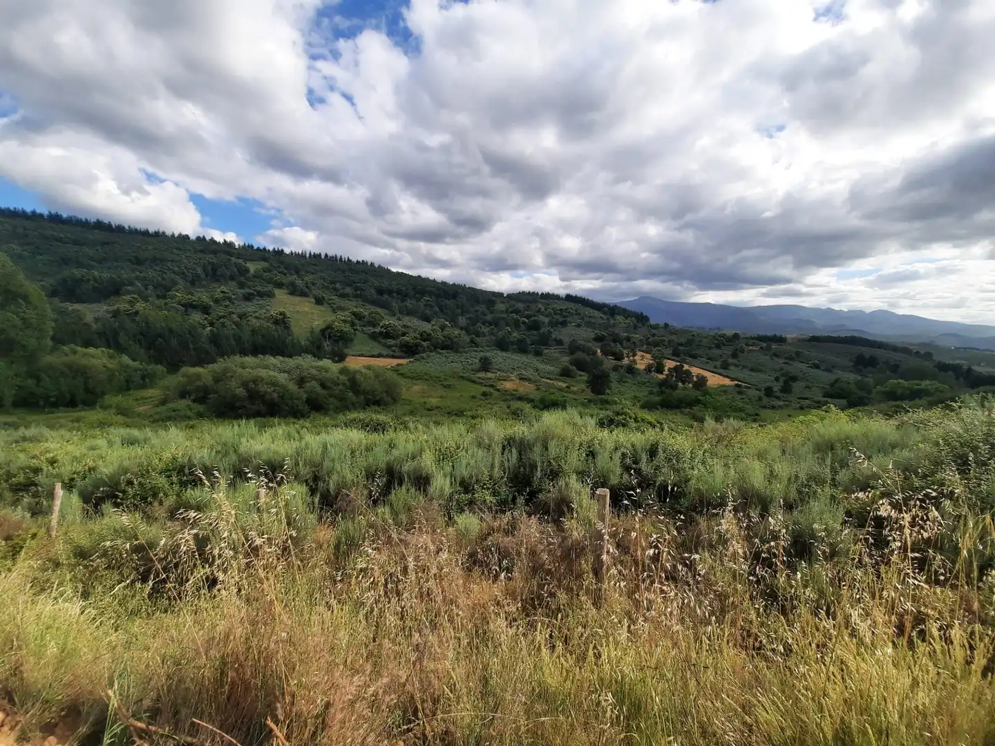 Terreni e lotti in vendita a N/A