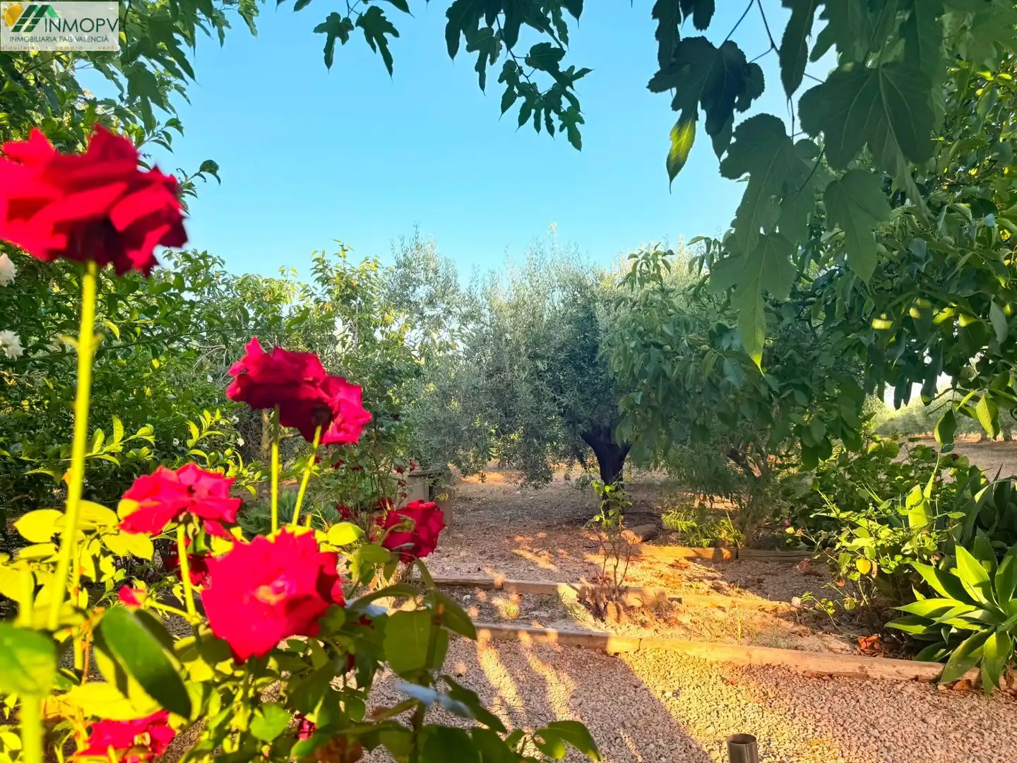 Jardí de Finca rústica en venda en Alcanar amb Aire condicionat, Jardí privat i Terrassa
