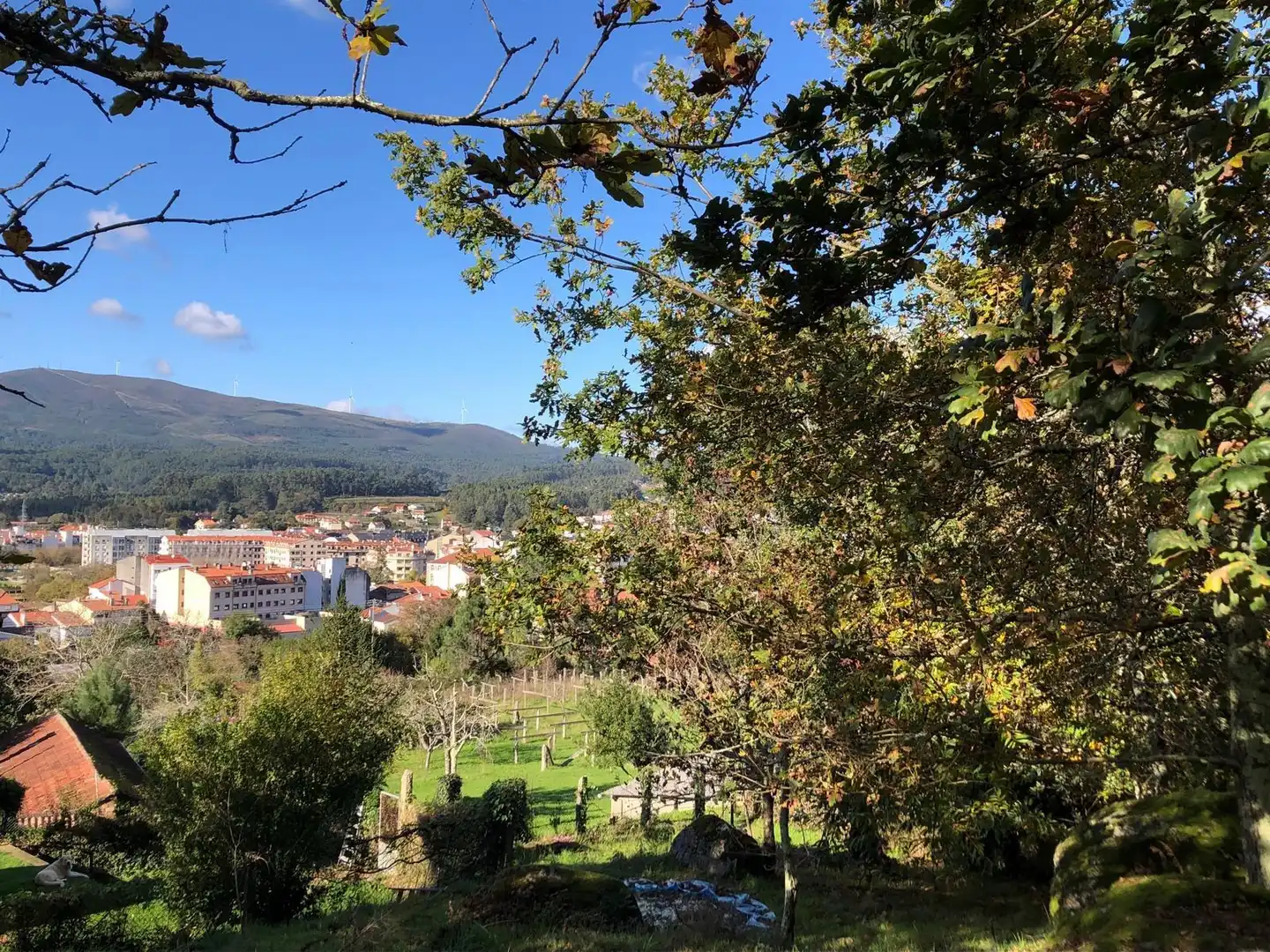 Vista exterior de Casa o chalet en venta en Caldas de Reis