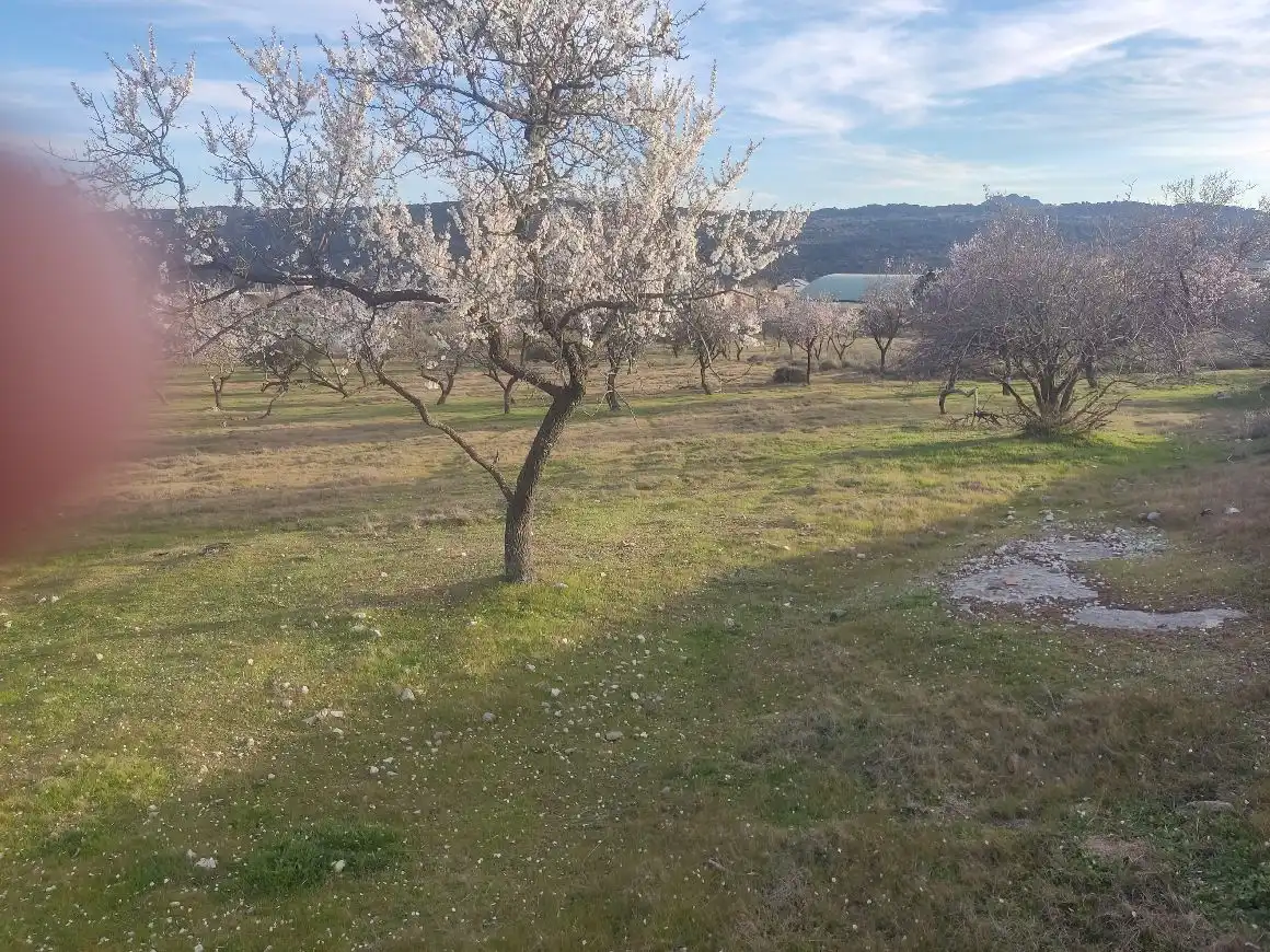 Rural land for sale in San Martín de Valdeiglesias, imagen 2