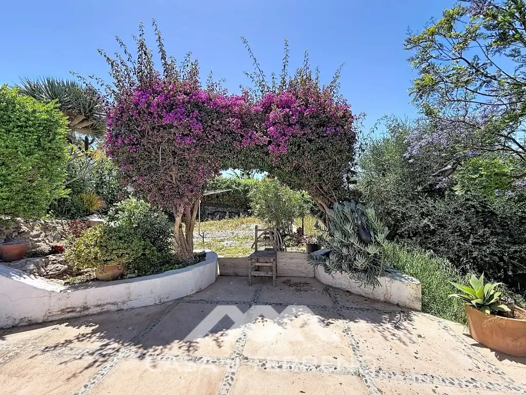 Jardín de Casa o chalet en venta en Vélez-Málaga con Aire acondicionado, Jardín privado y Terraza