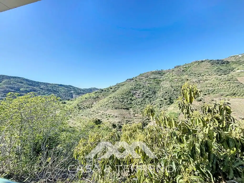 Detached house with pool for sale in Diseminados Cerrillo El, imagen 55