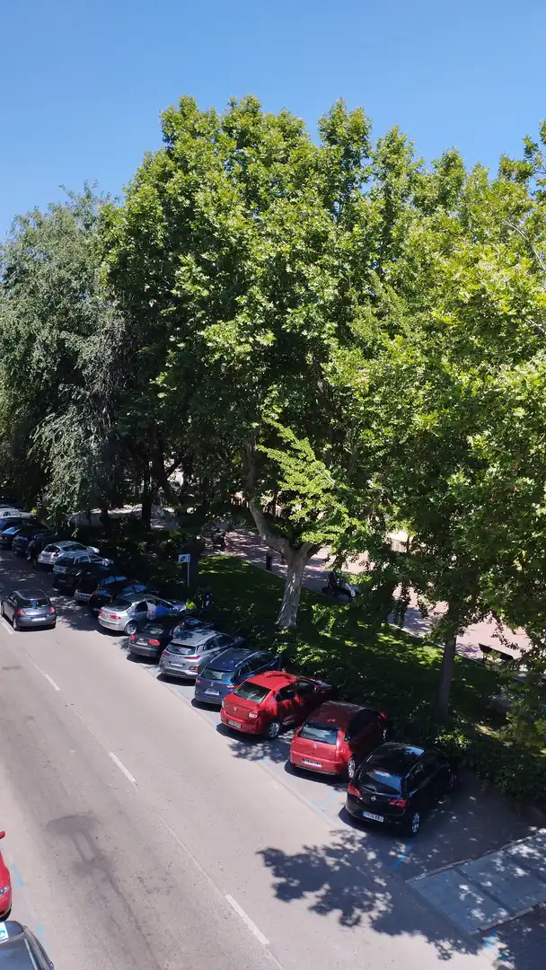 Pis amb ascensor en venda a Calle Padilla, imagen 20