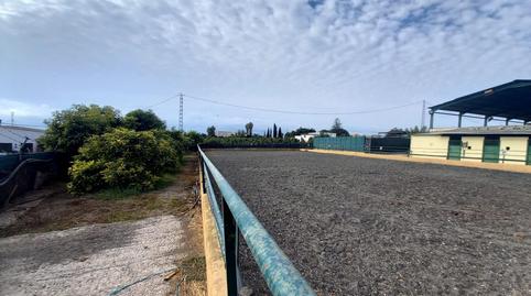 Foto 4 de Finca rústica en venda a El Tomillar, Málaga
