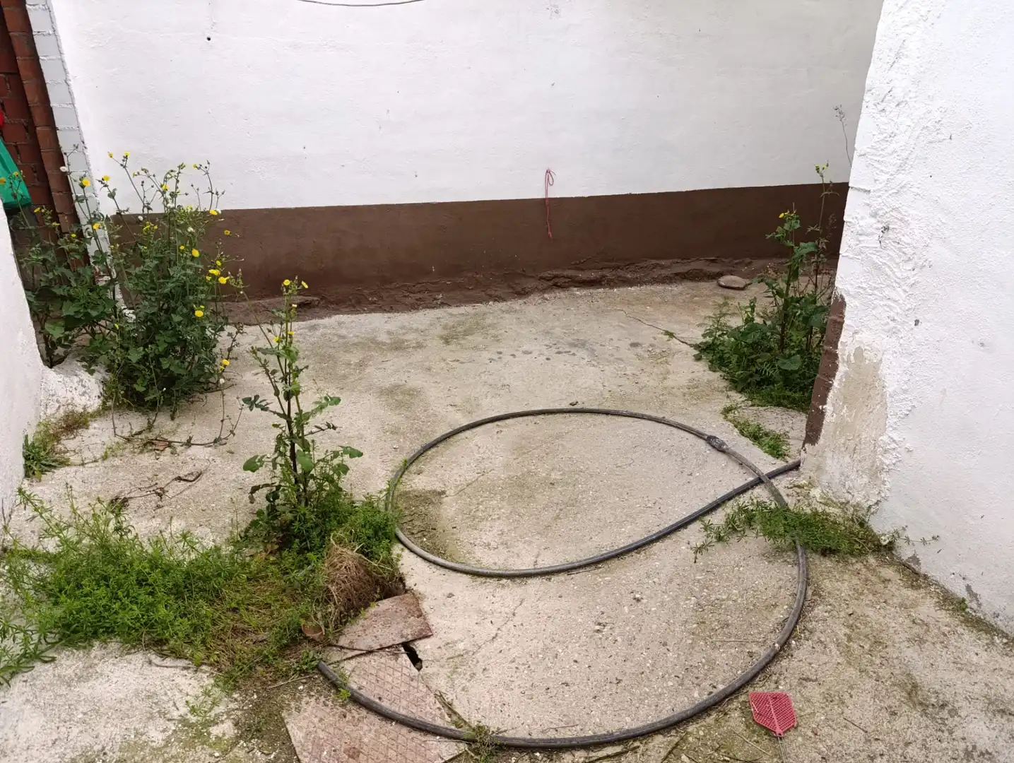 Jardín de Casa o chalet en venta en Villaminaya
