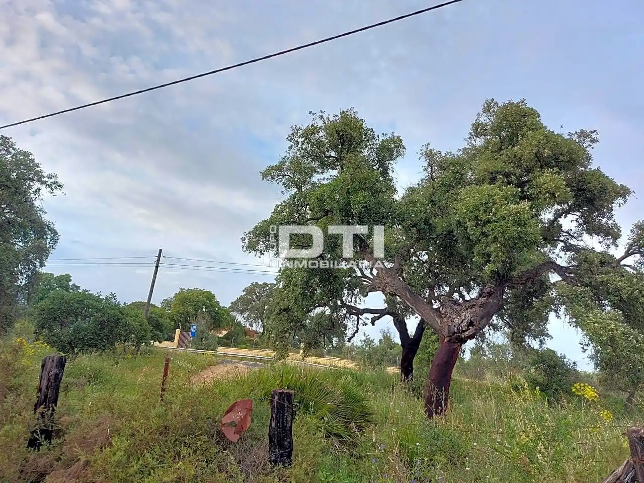 Land for sale in San Bartolomé de la Torre