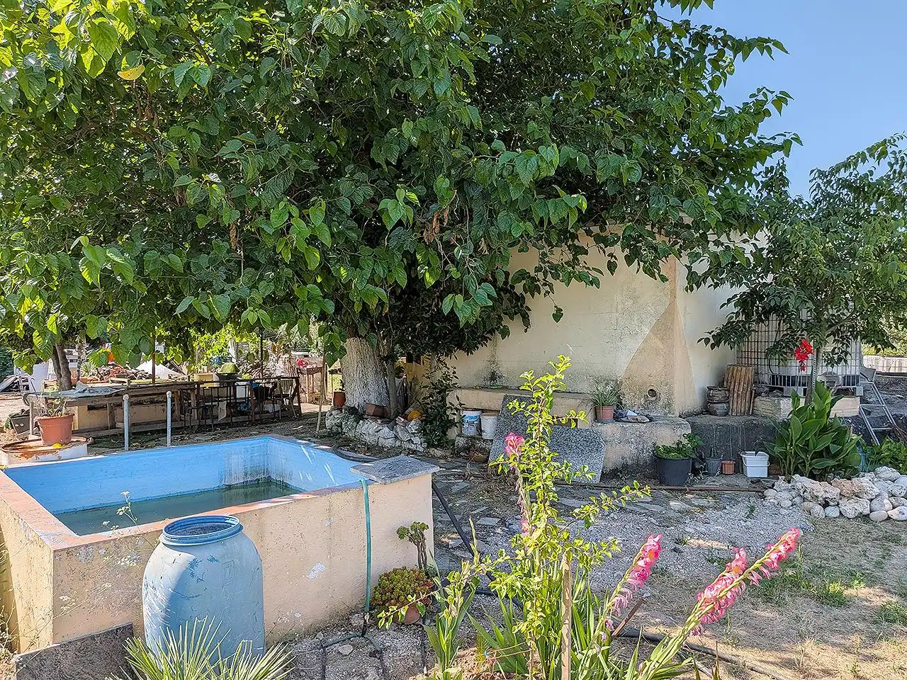 Terreny rústic en venda a La Foia