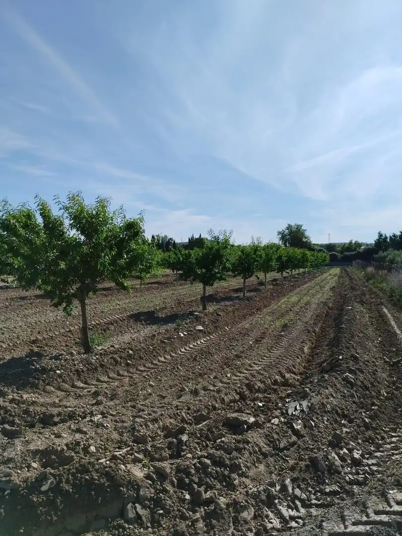Terreni e lotti in vendita a Villa de Otura, imagen 11