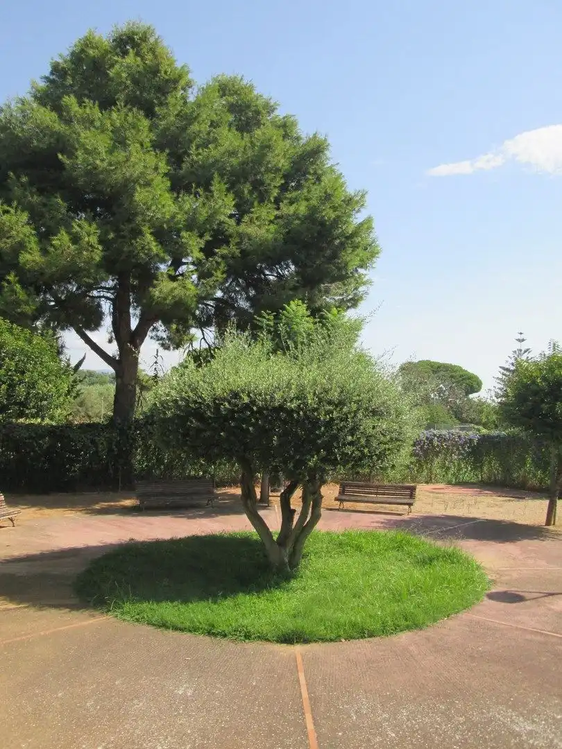 Garden of Houses for sale in Sant Andreu de Llavaneres  with Heating, Private garden and Community pool