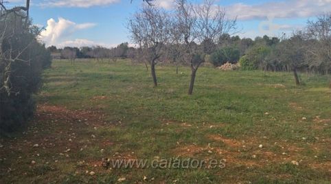 Photo 2 of Land for sale in Cala Ferrera - Cala Serena, Felanitx