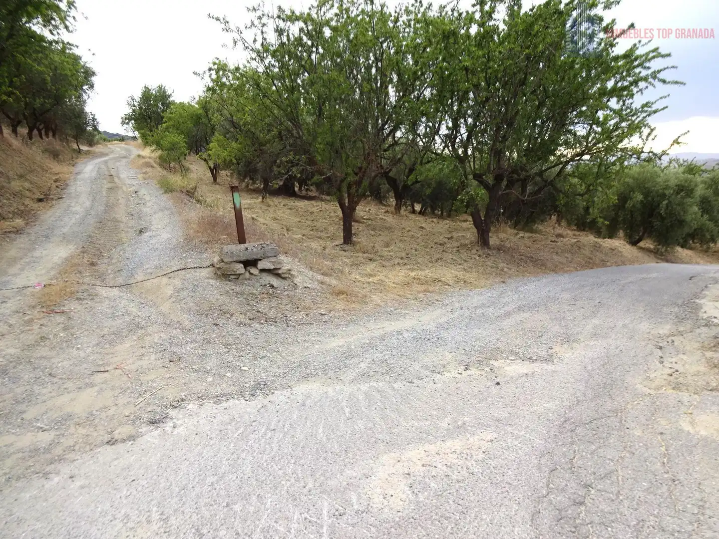 Finca rústica en venda en Pinos Genil