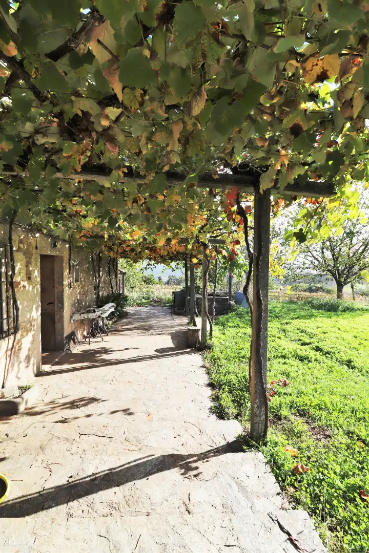 Maison avec jardin à vendre à CP-2017 14, imagen 7