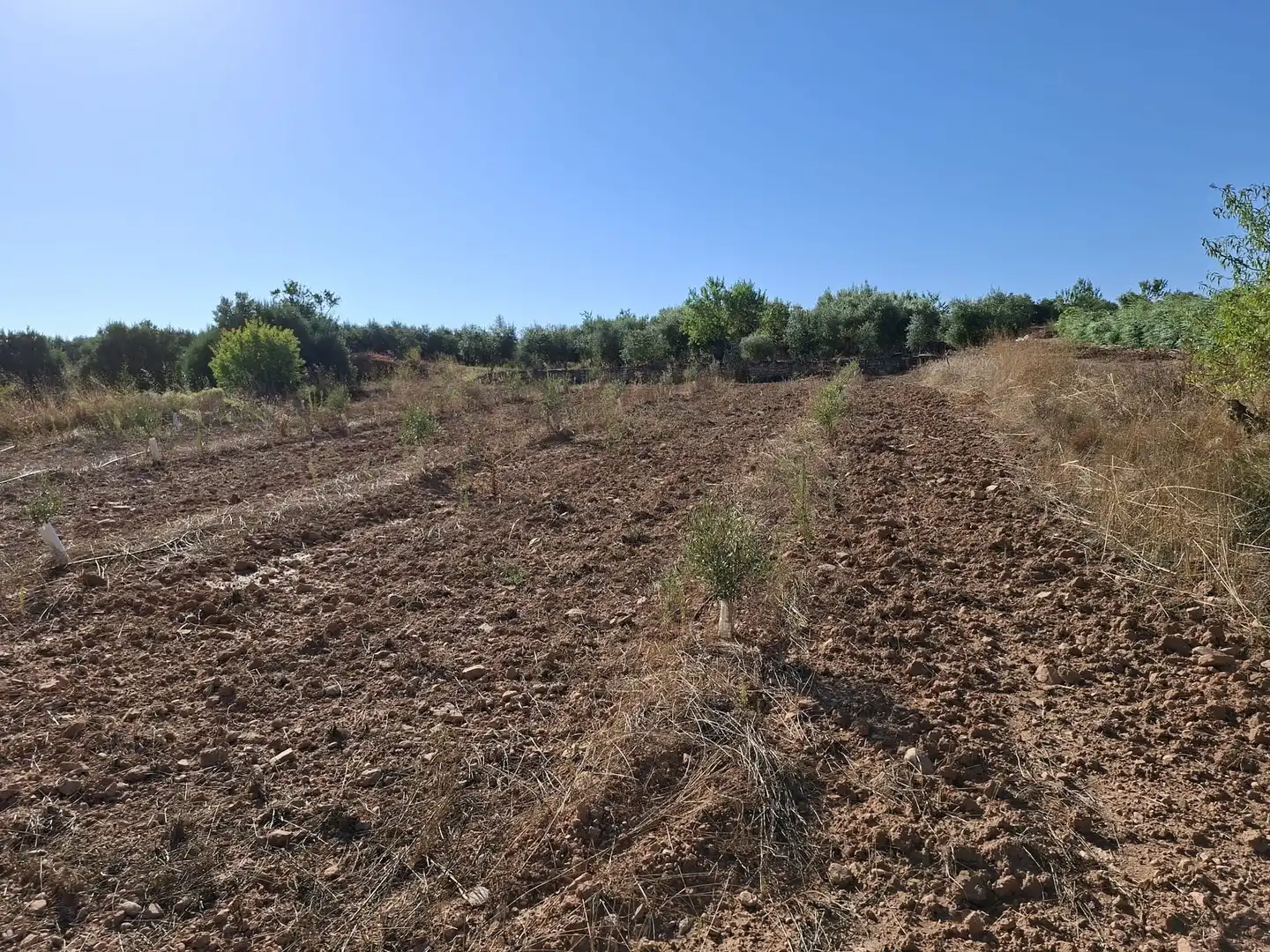 Terreno rustico in vendita a Diseminado Diseminats 6, imagen 10