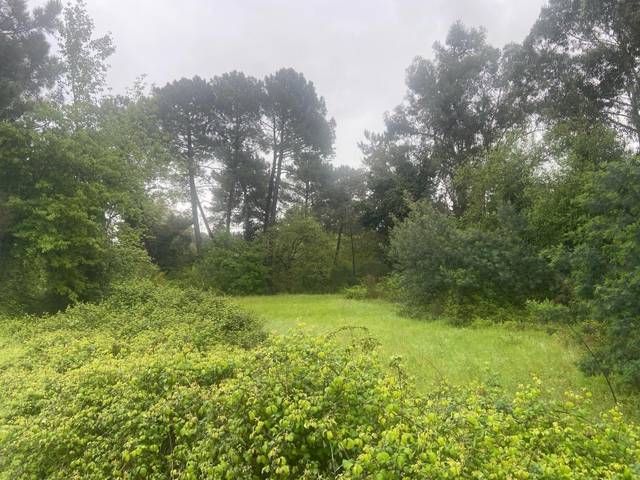 Terreno residencial en Venta en  MARCIAL VALLADARES, 11 en A Ponte