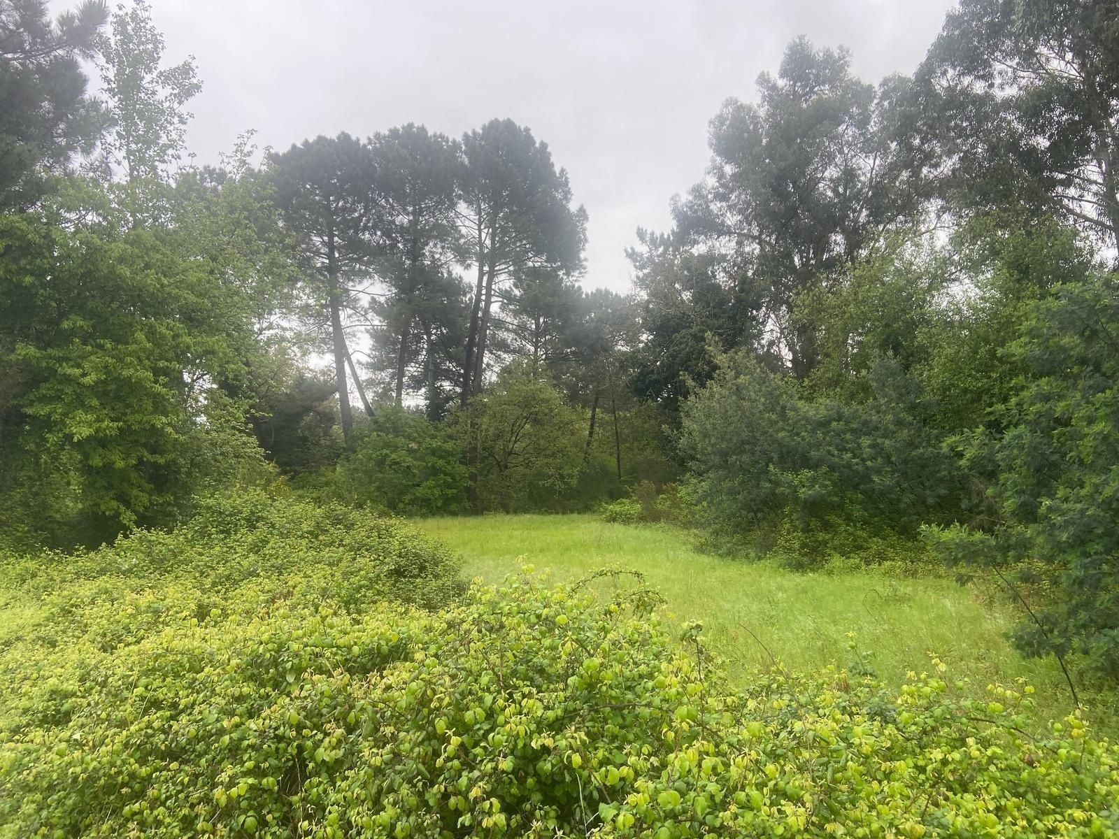 Residential for sale in Ourense Capital 