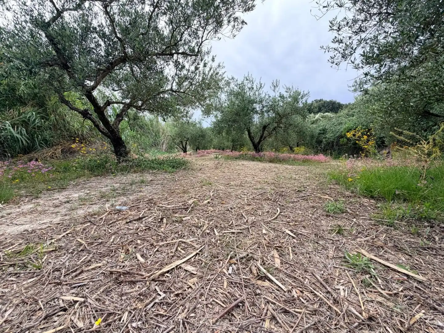 Terreno residenziale in vendita a Albaida, imagen 6