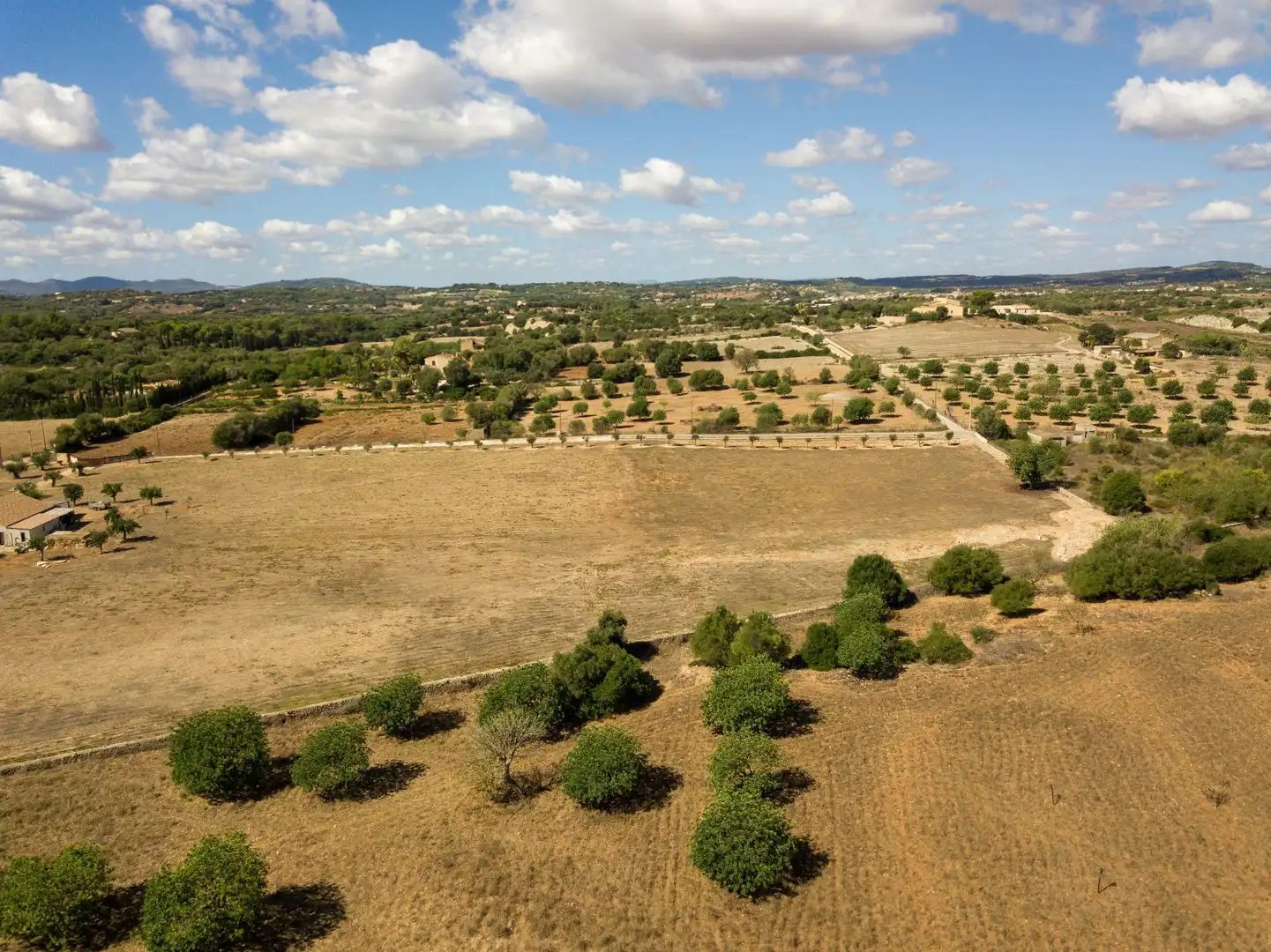 Rural land for sale in Son Vives, imagen 5
