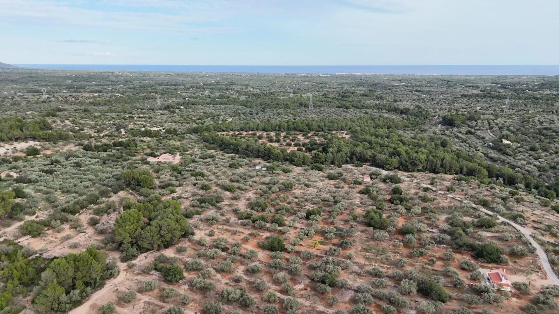 Terreno rustico in vendita a El Perelló