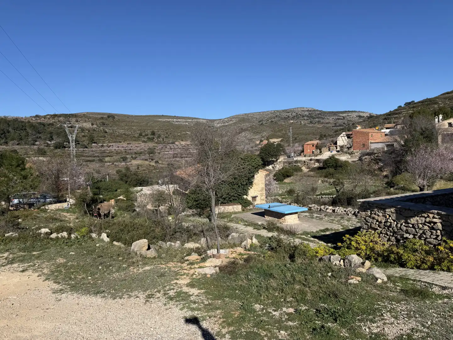 Edificio en venta en Vilar de Canes