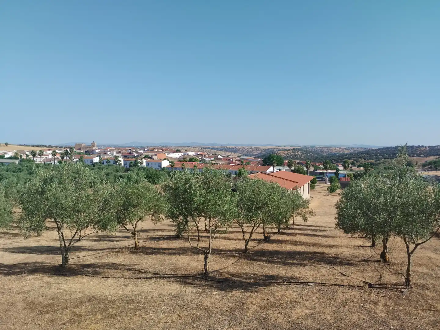 Finca rústica en venda en Atalaya amb Jardí privat i Traster