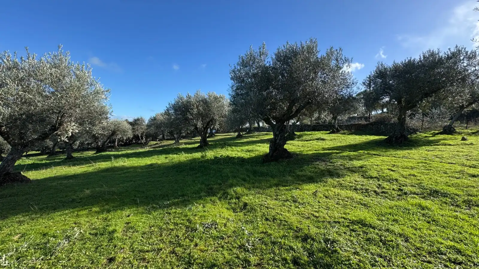 Terreni e lotti in vendita a Valencia de Alcántara, imagen 24