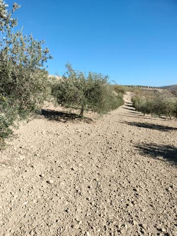 Terreno en Venta en La Malahá