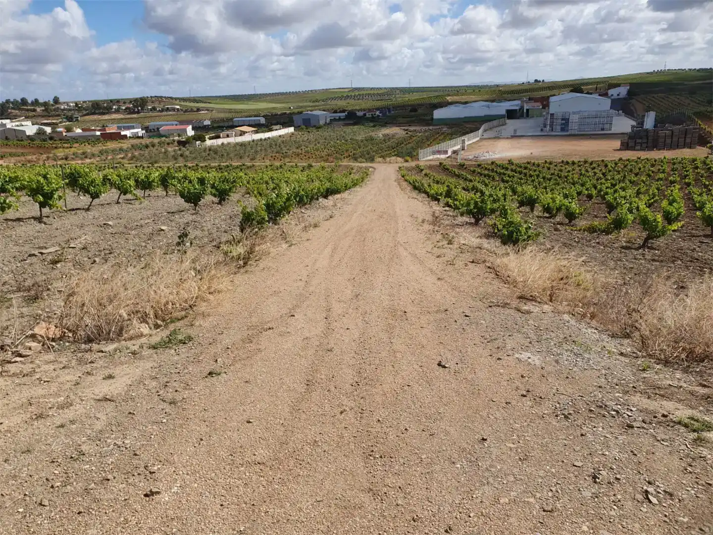 Vista exterior de Finca rústica en venta en Aceuchal