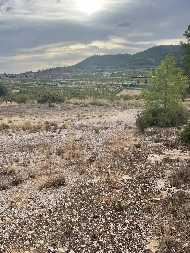 Wohnbaugrundstück zum Verkauf in El Pinós / Pinoso, imagen 18