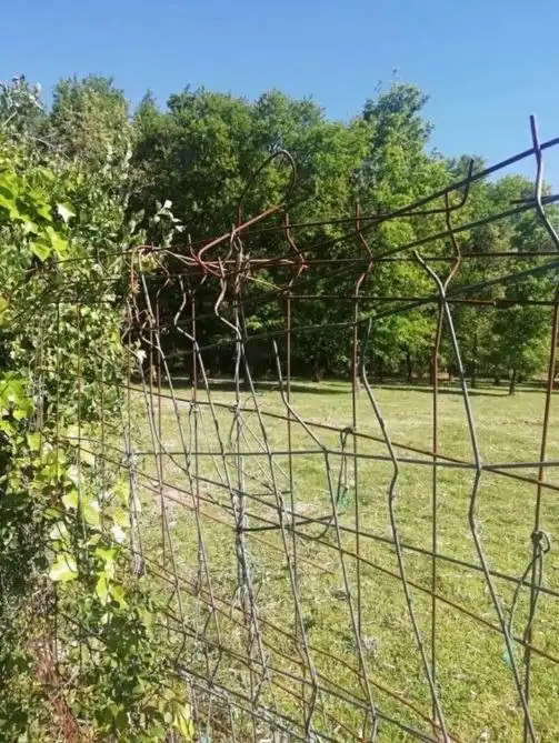 Terreni e lotti in vendita a Amoeiro, imagen 3